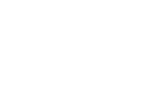Classic Japan Rally 2017