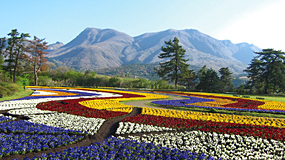 Kuju Flower Park