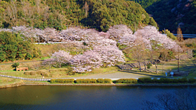 Kamekawa Dam