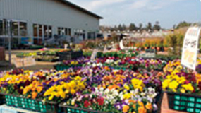 Flower Land Isehara