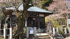 Jizodo