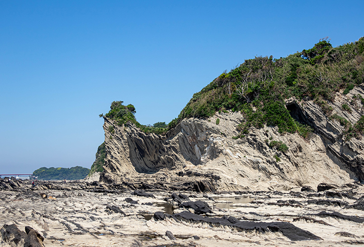 三浦