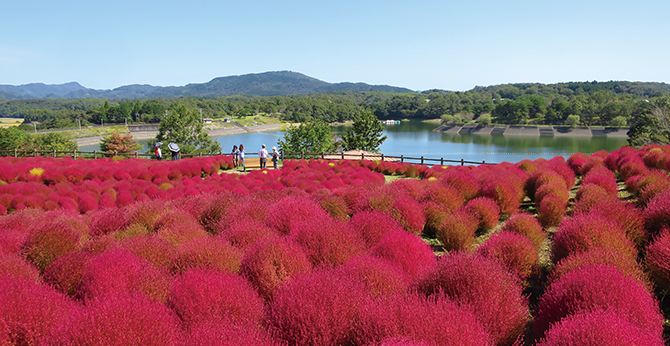 RURU PARK (Oita Agricultural Park)