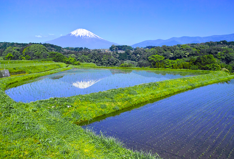 小山町