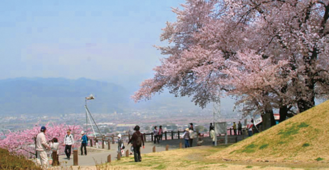 笛吹市八代ふるさと公園